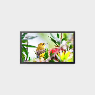 شاشة عرض إعلانات TFT LCD مقاس 32 بوصة، حل سطوع عالي 4000 شمعة في المتر المربع