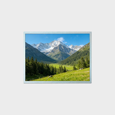 شاشة TFT LCD مقاس 15 بوصة مع دعم دقة 1024*768 - حل من 30 إلى 80 درجة مئوية