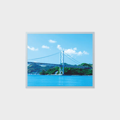 شاشة TFT LCD مقاس 19 بوصة بدقة 1280*1024 مع منطقة صناعية ذات درجة حرارة واسعة