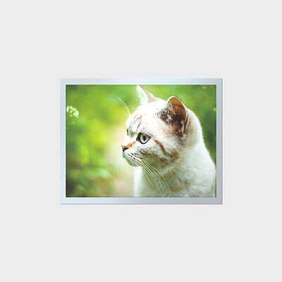 شاشة LCD مقاس 15 بوصة عالية السطوع وطويلة العمر من نوع TFT لألواح الأجهزة الصناعية