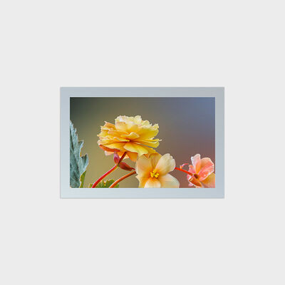 شاشة TFT LCD مقاس 27 بوصة من النوع المربع مع حل القطع بدقة 1847*1154