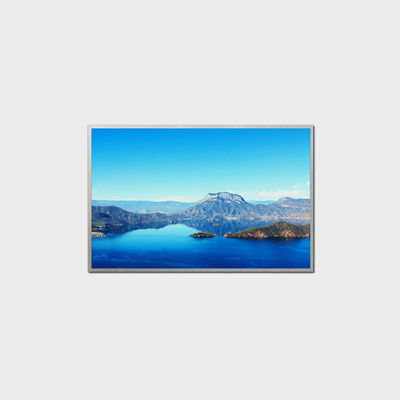 10. 1 بوصة شاشة LCD عالية الوضوح 1280 * 800 LVDS 1000nits