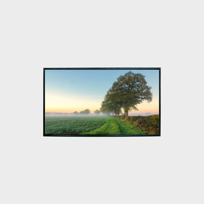 تجربة الصور الحادة والواضحة مع شاشة LCD عالية الوضوح 43 " 1920 * 1080 LVDS 1500nits