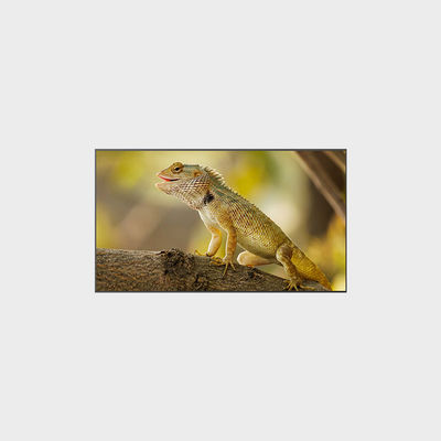 2000 نيت شاشة LCD عالية السطوع 3840*2160 98 بوصة لأفضل أداء