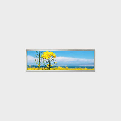 19.4 بوصة الشريط نوع شاشة LCD 1920 * 510 LVDS 500nits