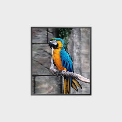 لوحة LCD مربعة عالية التباين 35.6 بوصة 950*1080 500nit مع نظام أندرويد