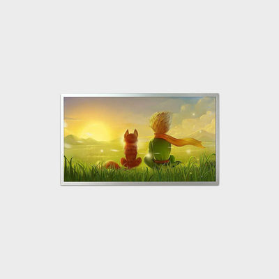 18.5 بوصة شاشة LCD مع حجم الخطوط العريضة 431 * 255 * 9.2mm 1920 * 1080 دقة و 0-50C LVDS LCMA-RX0185GB10-C050
