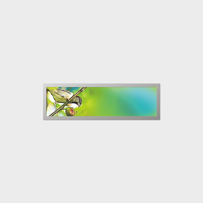 شاشة TFT LCD مقاس 19.4 بوصة من النوع الشريطي مع استهلاك منخفض للطاقة ودعم التخصيص