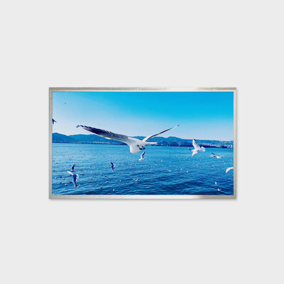 حل TFT LCD مقاس 13.3 بوصة، حل سطوع 800nits، عرض درجة حرارة واسعة