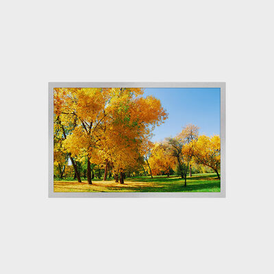 12.1 بوصة شاشة TFT LCD مع 1280 * 800 دقة 16:9 واجهة LVDS 1500nits