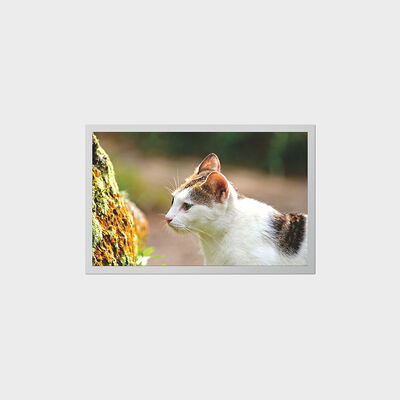 شاشة TFT مقاس 12.1 بوصة مع شاشة LCD منخفضة استهلاك الطاقة للأجهزة الطبية المحمولة