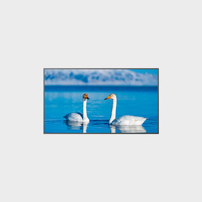 65 بوصة عالية الوضوح لوحة LCD 1920*1080 2000nits LCMA-RX0650GB08-Z200
