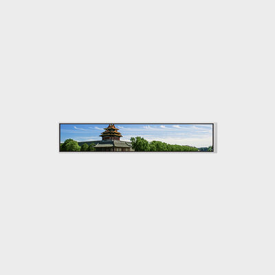 شاشة LCD مقاس 6.9 بوصة من النوع الشريطي بدقة 280*1424 تدعم تخصيص السطوع