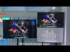 مقدمة الدعم الفني لتعتيم Rogin المحلي